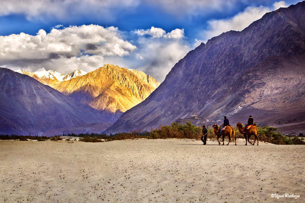 Camel Ride at Hunder