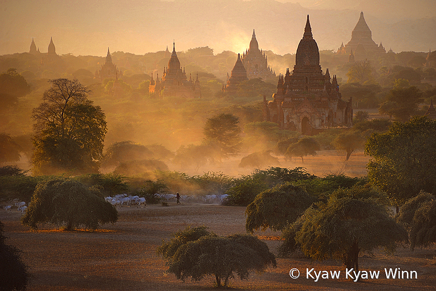 One Evening of Bagan - ID: 15856614 © Kyaw Kyaw Winn