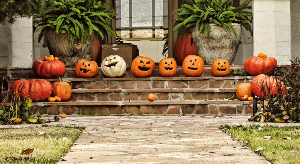 Welcoming party - ID: 15856619 © Sherry Karr Adkins