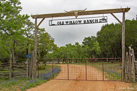 Old Willow Ranch