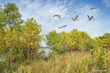 Early Autumn at Walnut Creek Lake