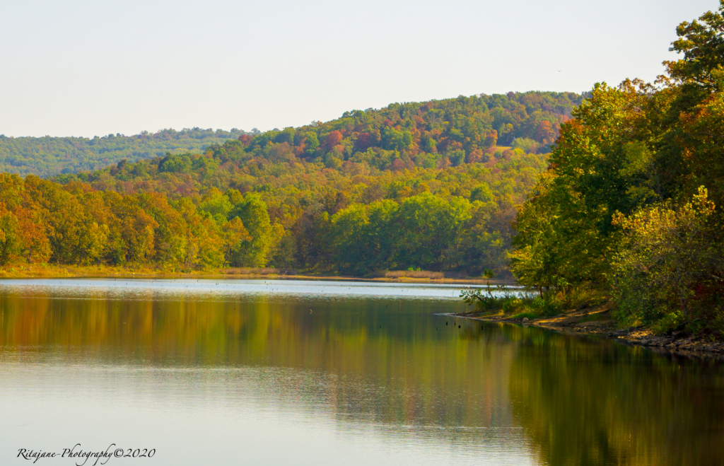 Fall Colors