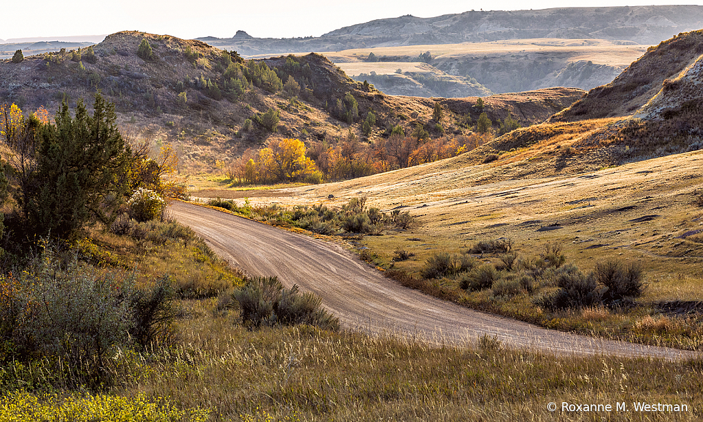 Afternoon glow in the badlands