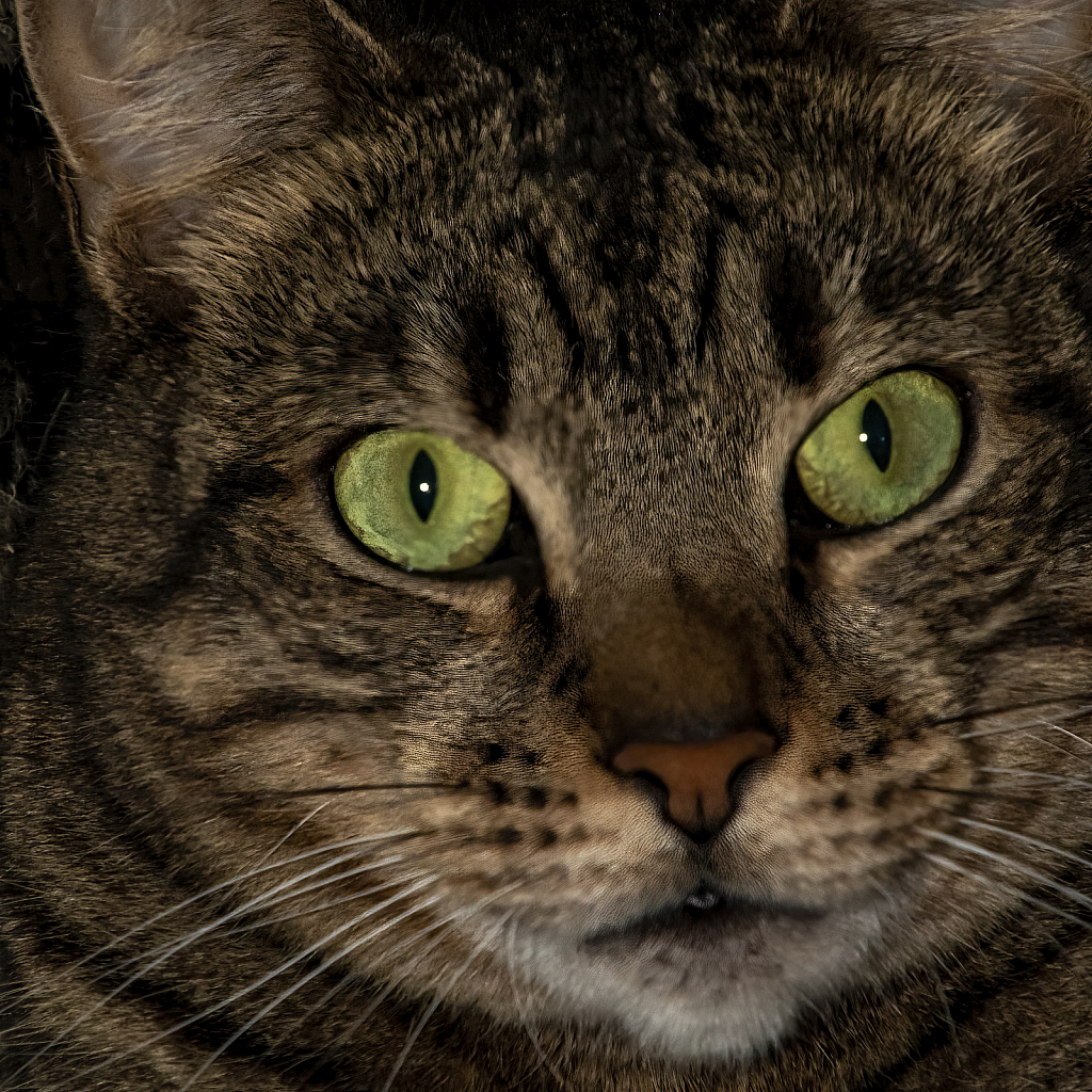 img2