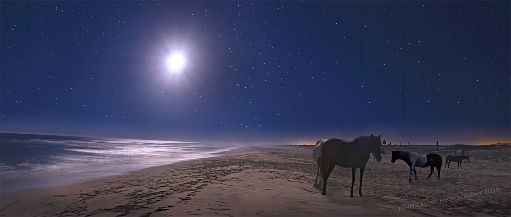 Assateauge Island Horses at Night