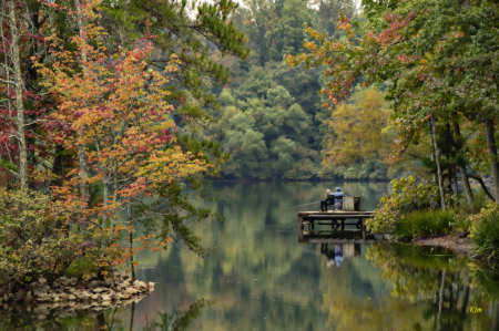 Early Autumn in Alabama