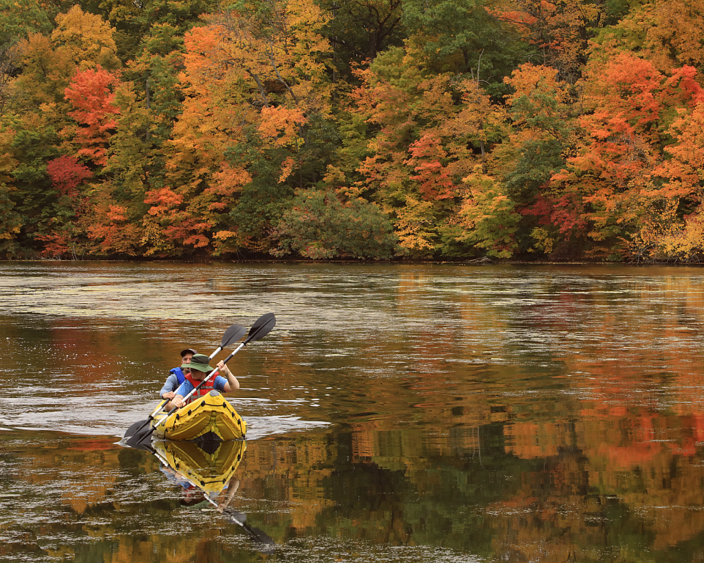 paddling in 