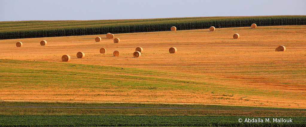 Hay Bales 1