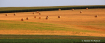 Hay Bales 1