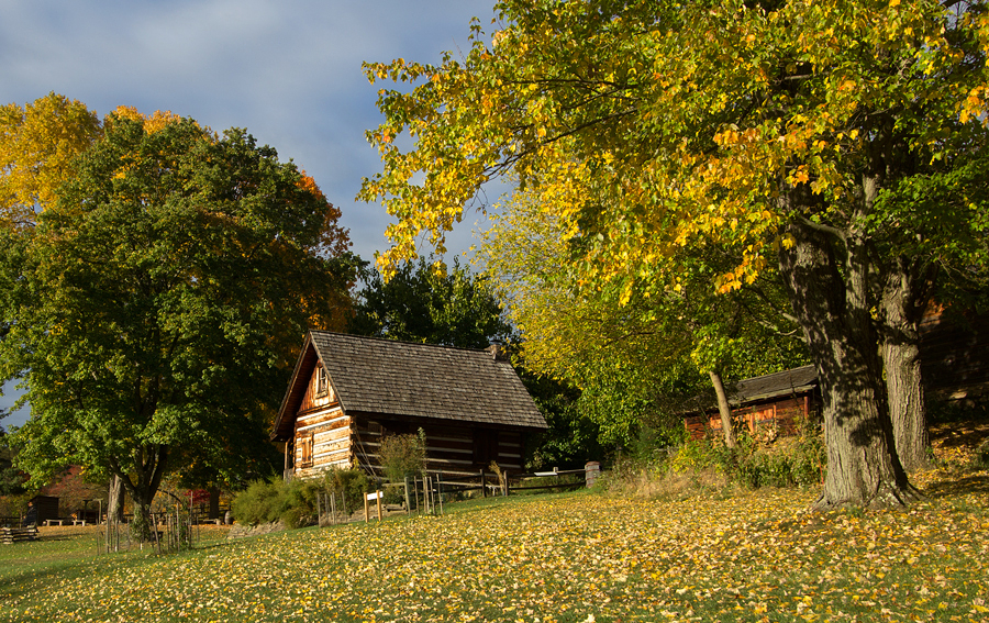 South Park Homestead 