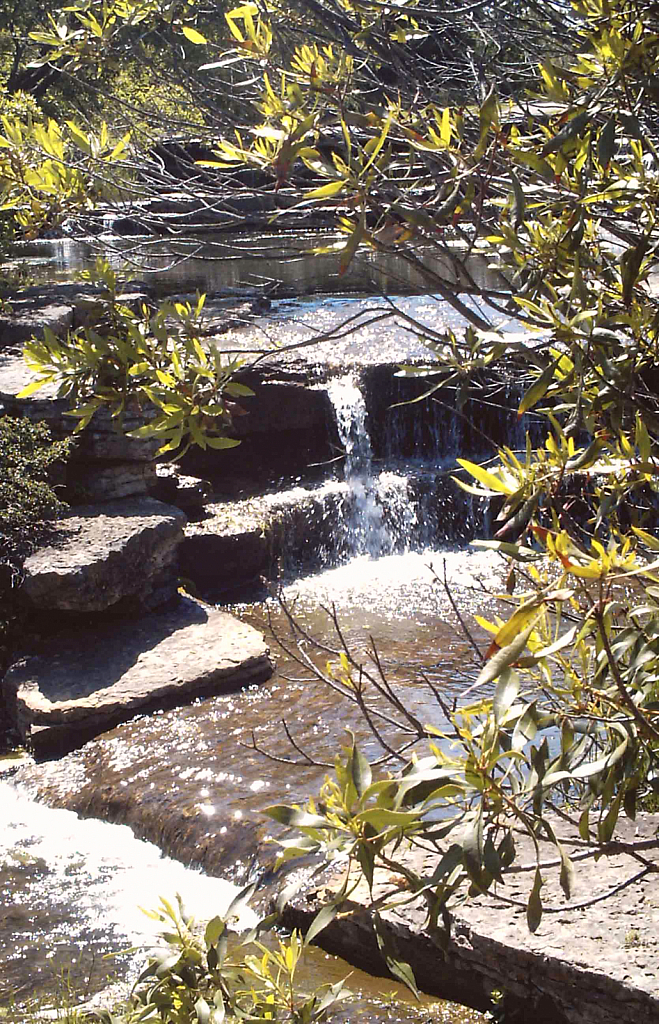 Stream waterfall