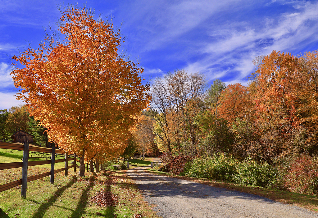 Autumn in Ashfield 