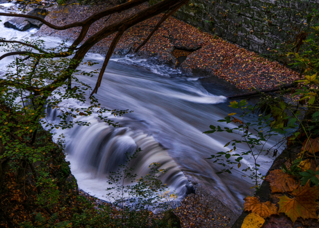 Tinker's Creek Falls