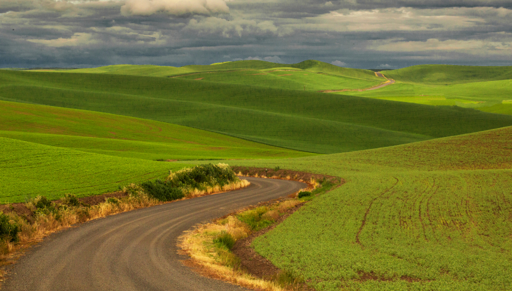 The Palouse