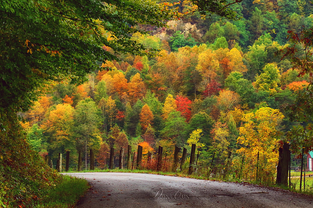 Colors Up Around The Bend