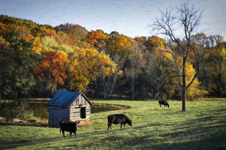 Gillis Farm - Carroll County, Maryland
