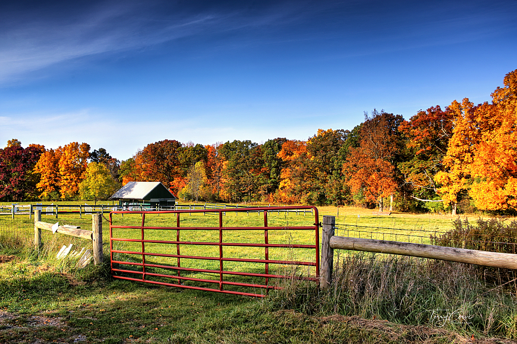 Pasture Gate