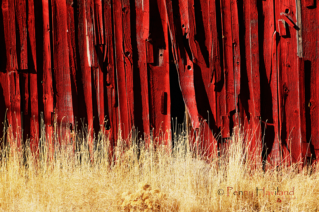 Barn Wood Texture