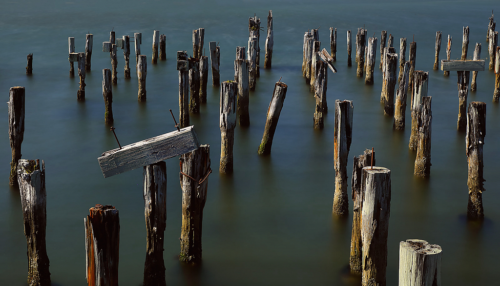 Pier Pilings