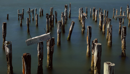 Pier Pilings