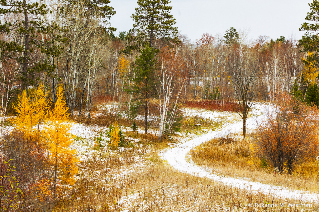 The first Minnesota snowfall - ID: 15861881 © Roxanne M. Westman