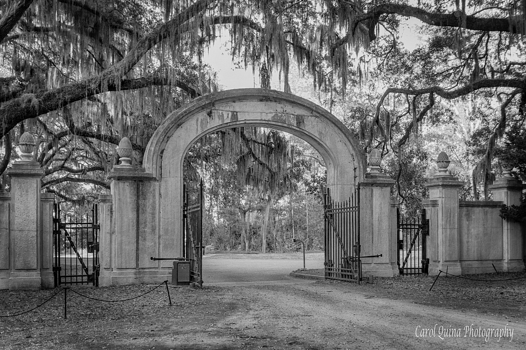 Wormsloe Historic Site