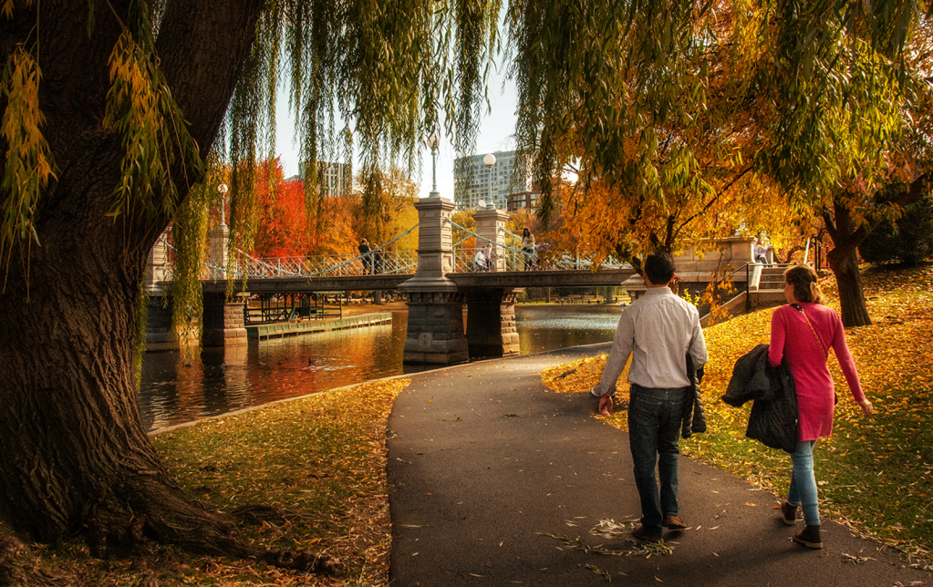 An Autumn Walk