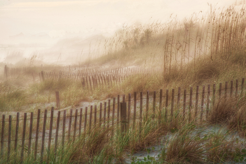 From the Dunes of Atlantic Beach, NC