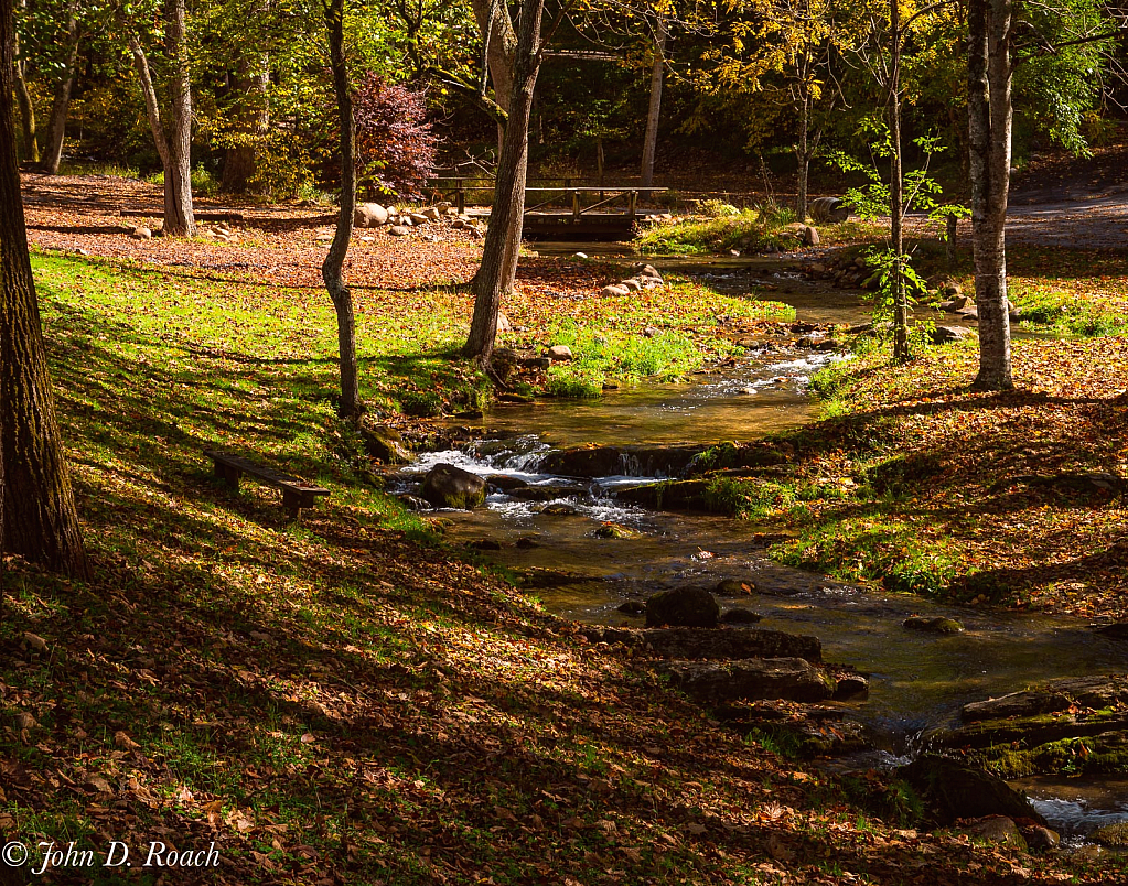 Along the Creek - ID: 15861716 © John D. Roach