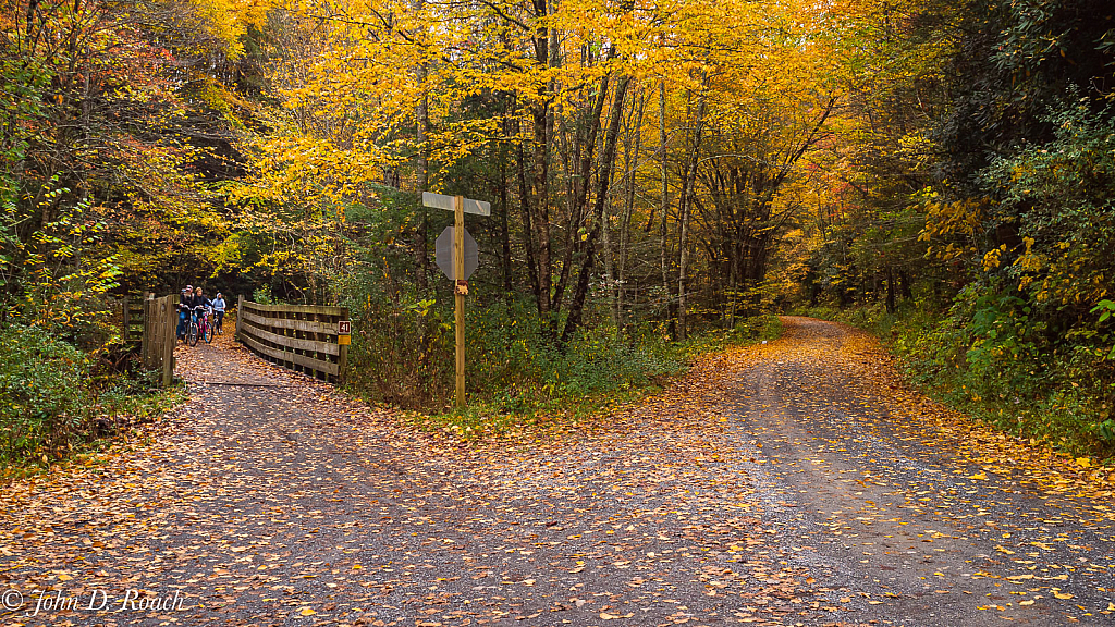Autumn on the Bike Trail