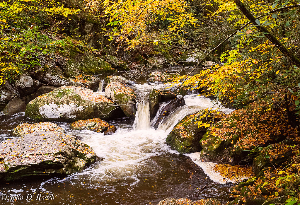 Falls along the Creek