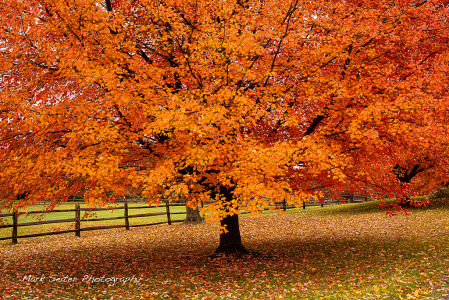 Fall in Upstate NY