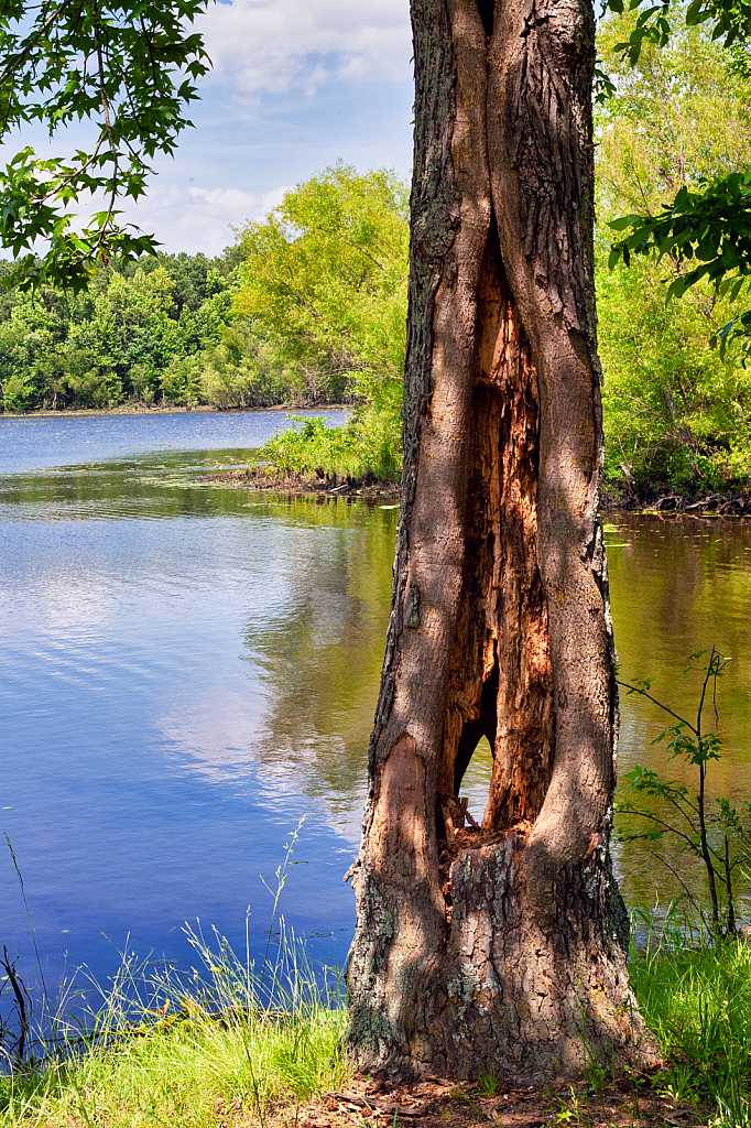 Lake Bailey