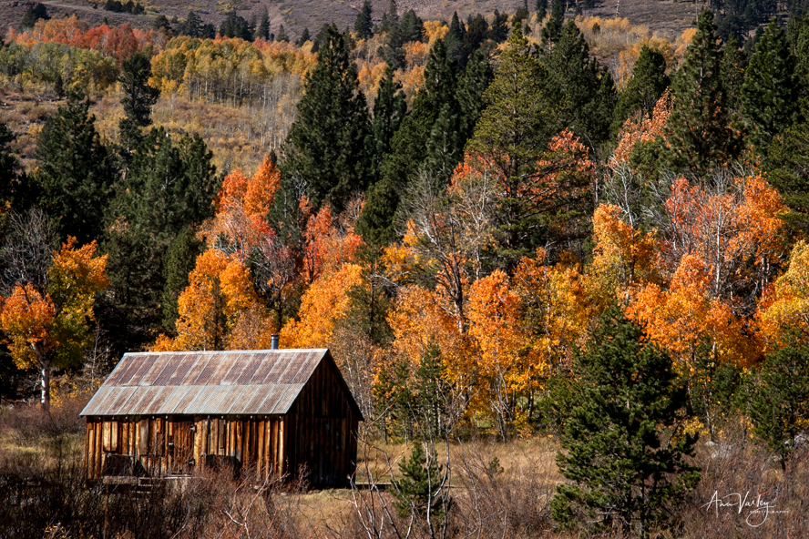 The Cabin at Hope Valley