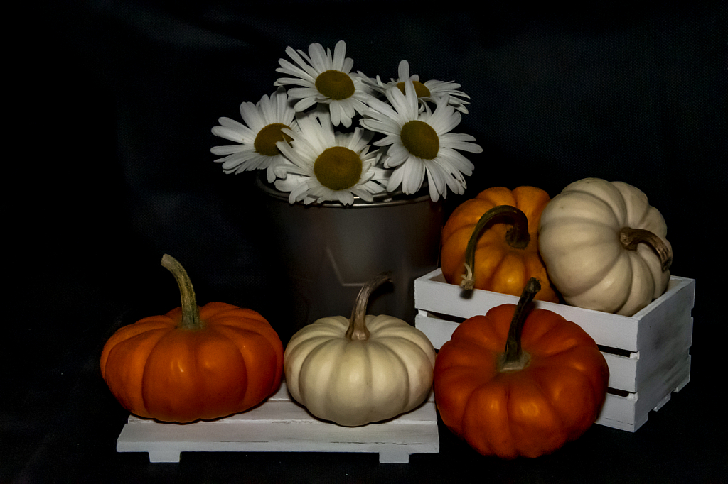 Autumn Still Life