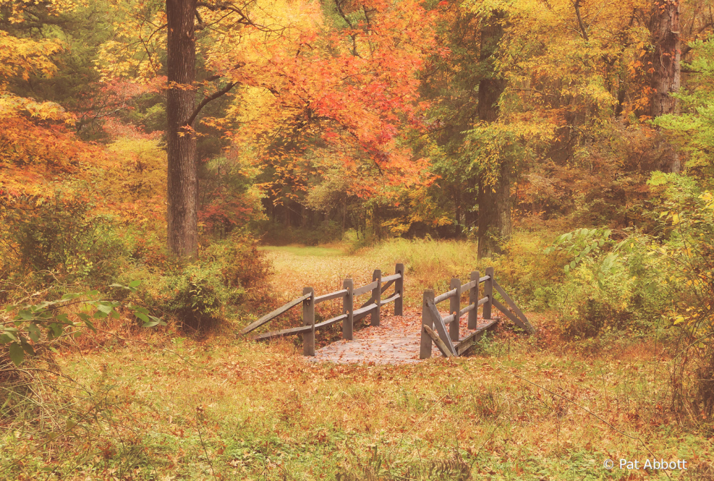 Autumn at the Arboretum 2