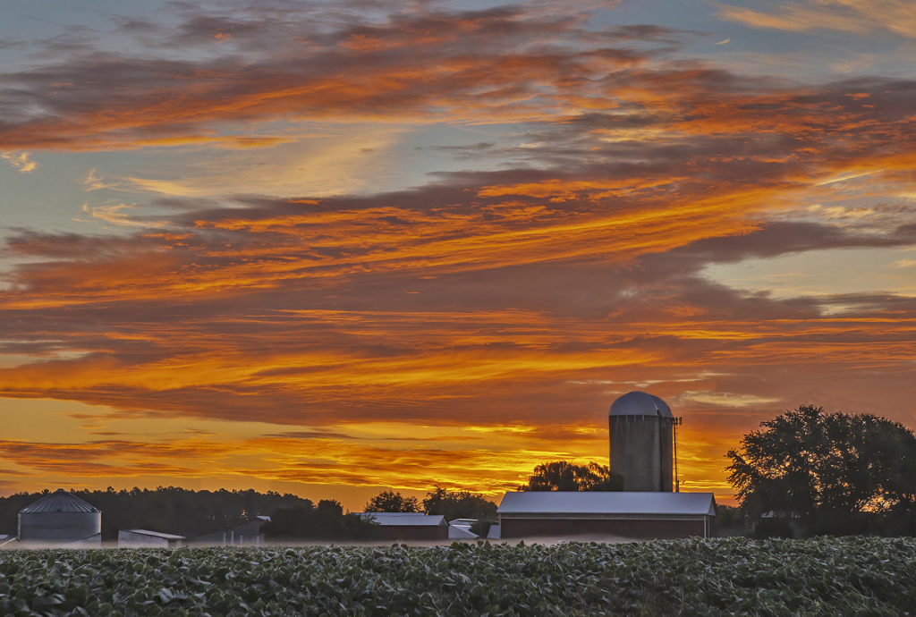 Local Farm at Sunrise 