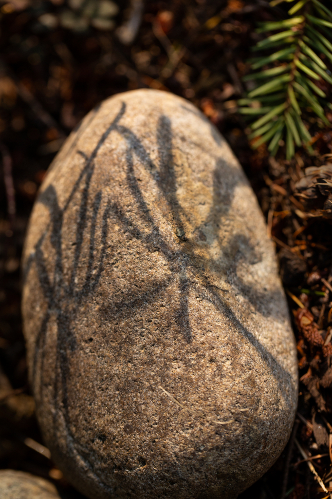 Shadows on a Rock