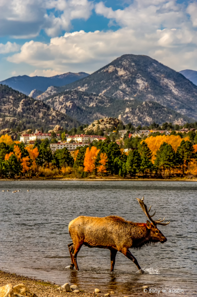 Estes Park