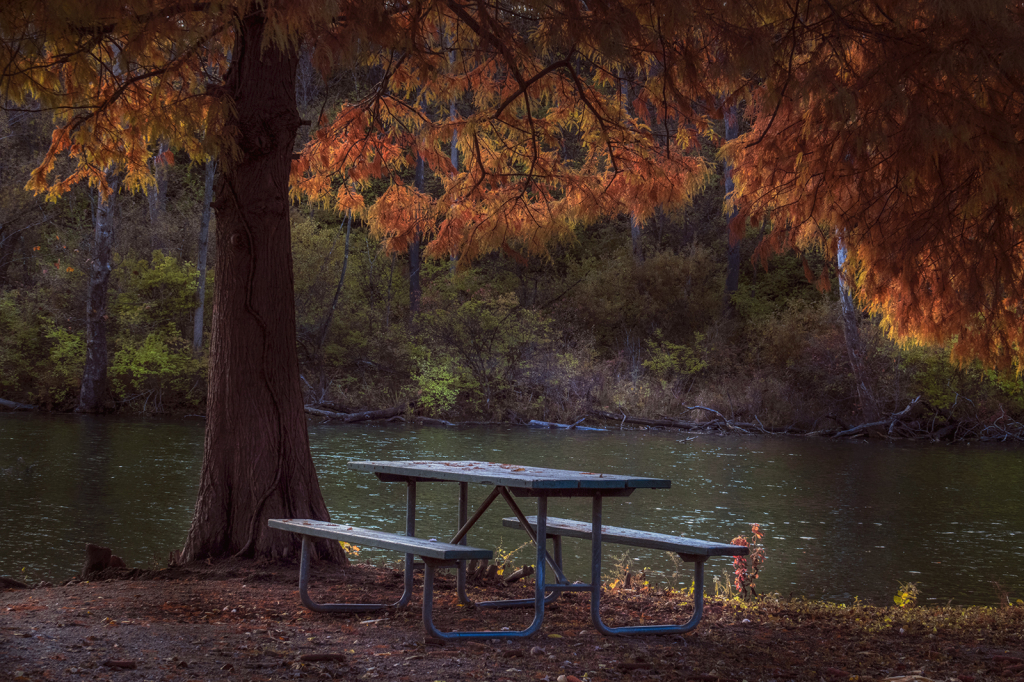 Park Bench