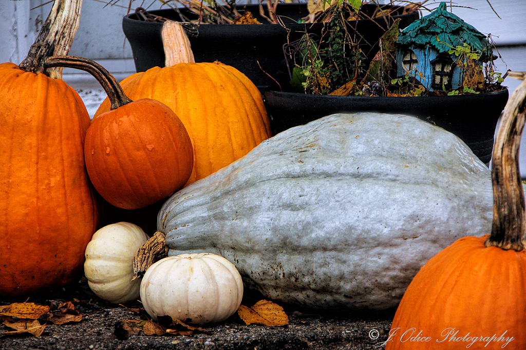 Pleasant Street Squash