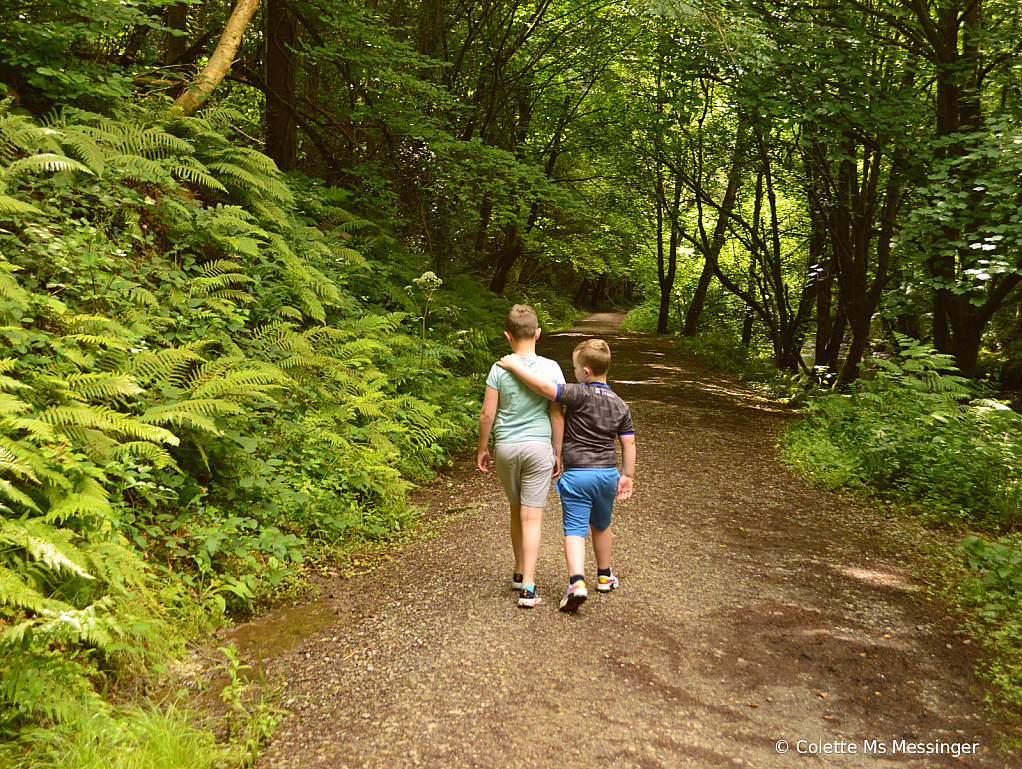 Summer Walks 20