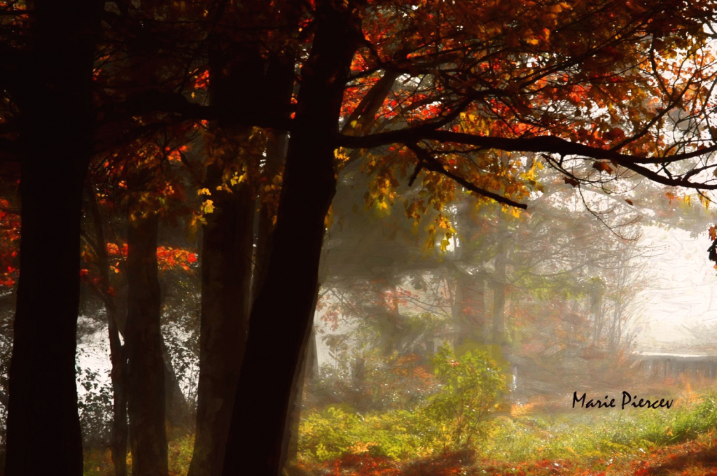 Foggy Autumn - ID: 15863112 © MARIE R. PIERCE