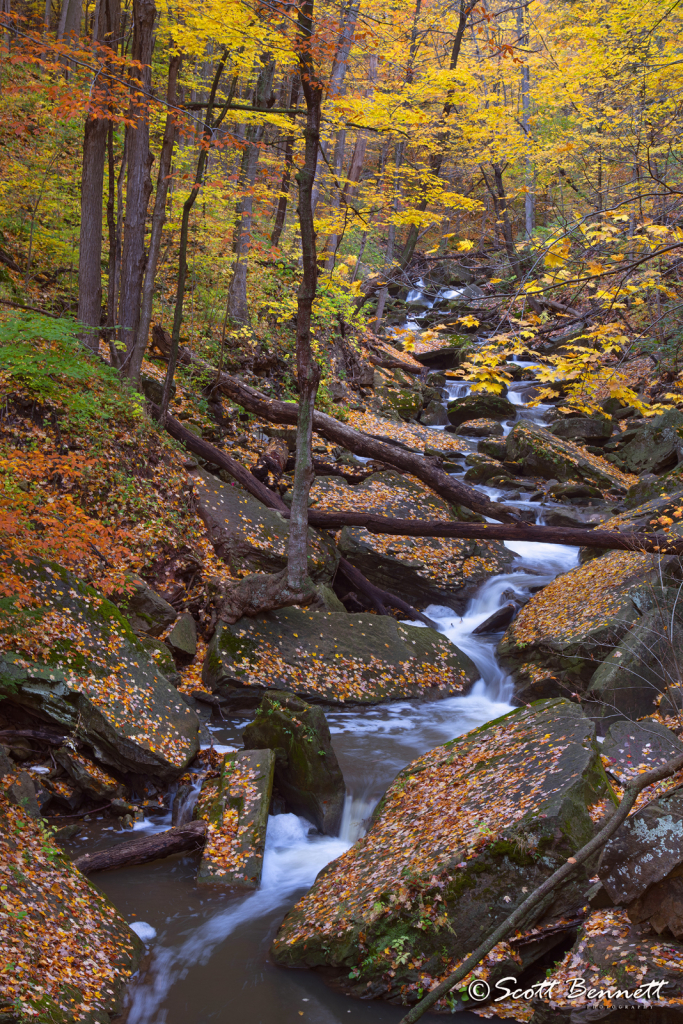 Grindstone Creek in Autumn