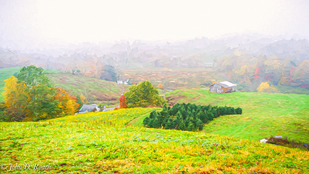 Misty Morning on the Farm