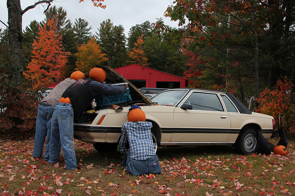 Pumpkin Mechanics