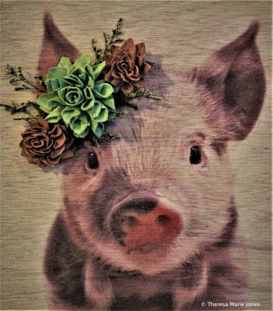 Pretty Piggy
