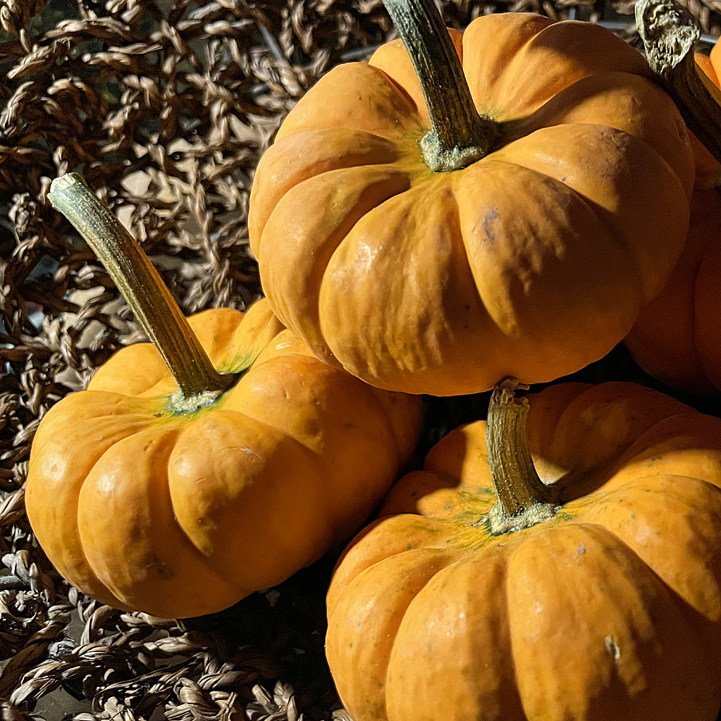 Little Pumpkins