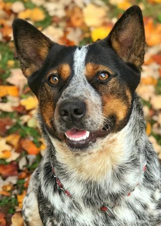 Autumn Smile (a.k.a October Jax)