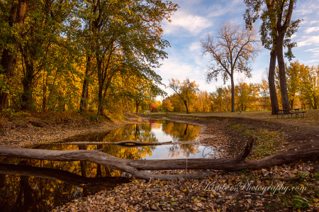 Beautiful Fall